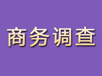 山亭商务调查